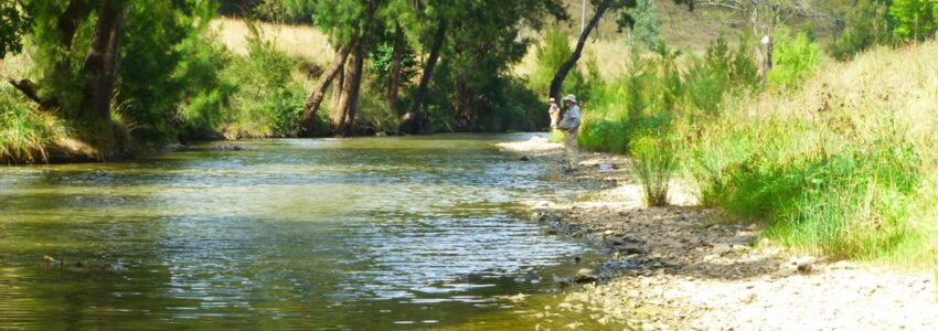 Flies for Nundle