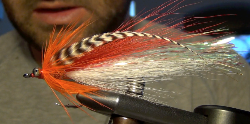 Flashtail Whistler - Fly of the Month - Hastings Fly Fishers