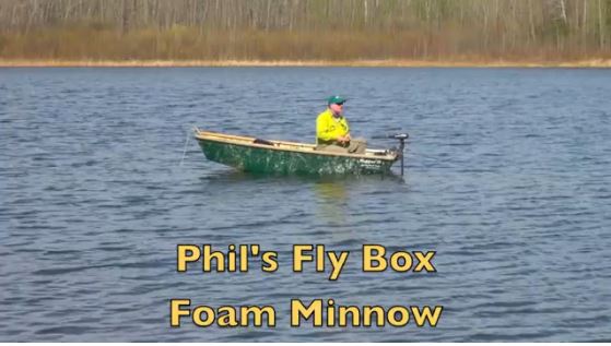 Phil's fly box - foam minnow