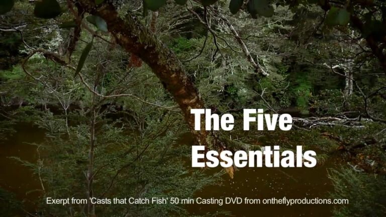 The five essentials - excerpt from "Casts that Catch Fish"