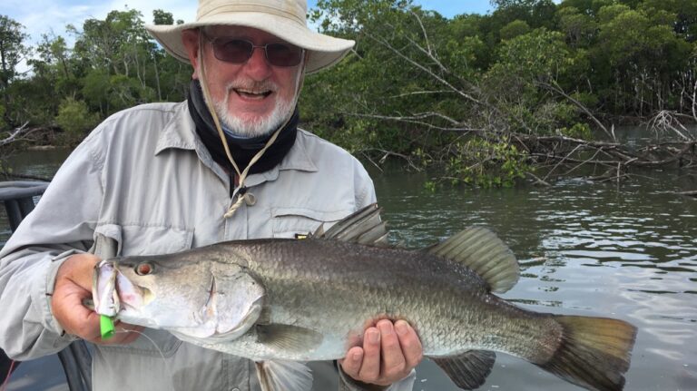 Know your fish - Don's barra caught at Hinchinbrook, 2017