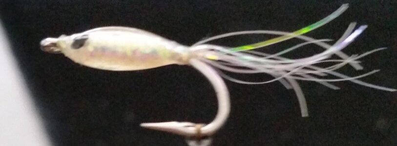 Saltwater Popper Medium White - BWCflies Australia