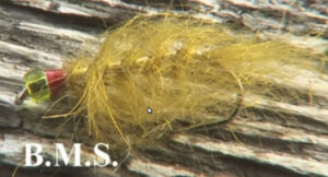 Muz Wilson "Bullen Merri Special"