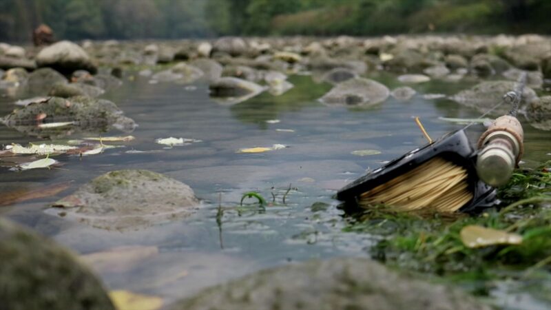 Fly-Fishing and the Brain