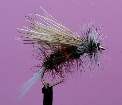 Royal Stimulator - Fedeles Variant - The Fly Box - Hastings Fly Fishers