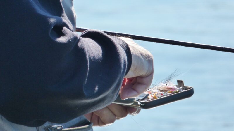 How to Organise Your Fly Box