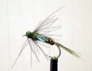 Bead Head Hastings River Mayfly