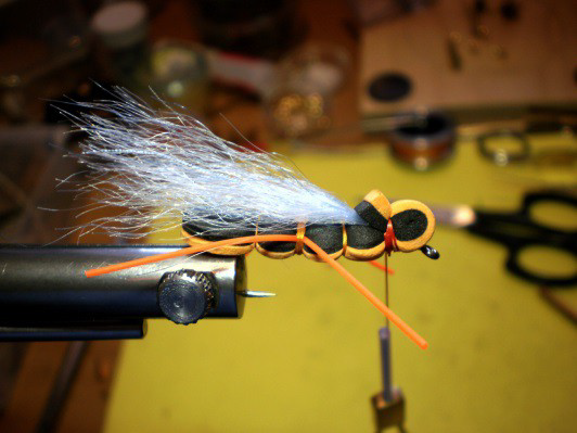 Orange bass flopper step 9