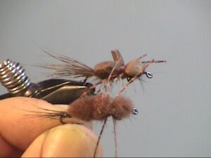 Skip Morris Predator