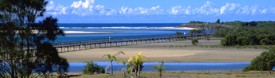 Bellinger River estuary boardwalk