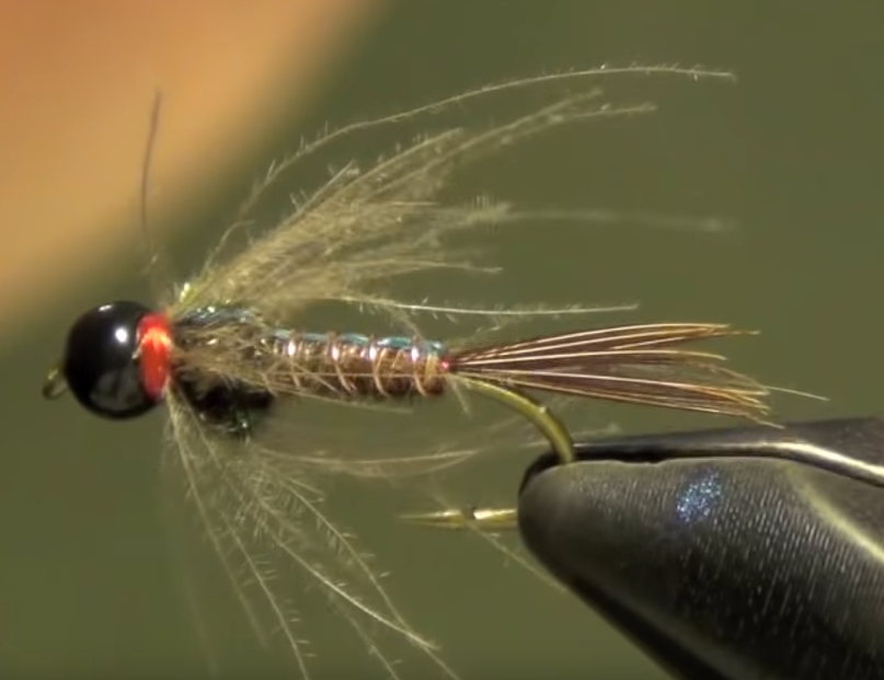 CDC Pheasant Tail