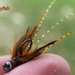 Micro Crayfish