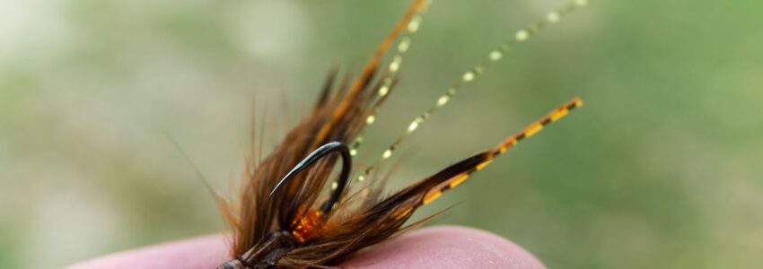 Micro Crayfish – Jig Nymph and Streamer