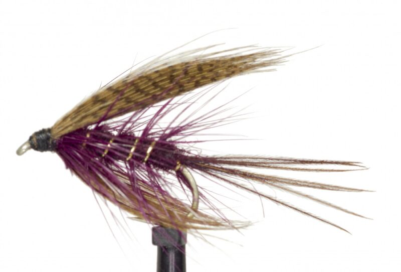 Claret Dabbler