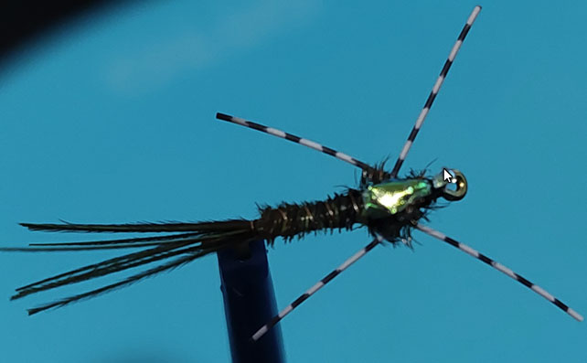 Pheasant Tail Nymph with Centipede Legs