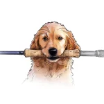 Dog with a fly rod
