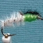 Unnamed mullet fly