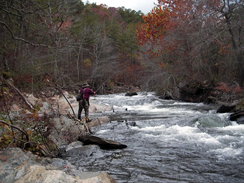 Fly Fishing Skills by Dutch Baughman