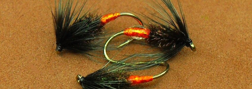 Soft Hackle Black and Peacock Spider Variation