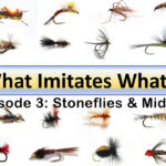 "What Imitates What" Episode 3: Stoneflies & Midges