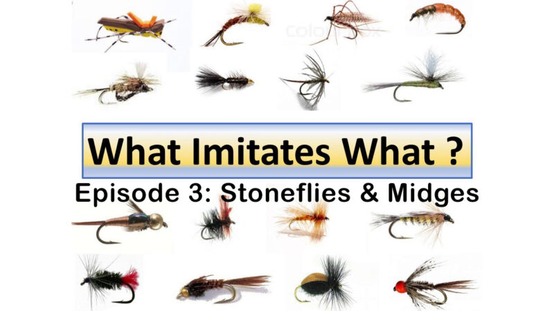 What Imitates What – Episode 3: Stoneflies & Midges