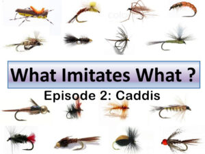 Dave Wilson's "What Imitates What" - episode 2: caddis