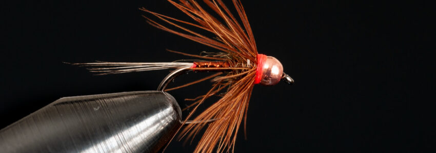 Hot Spot Soft Hackle