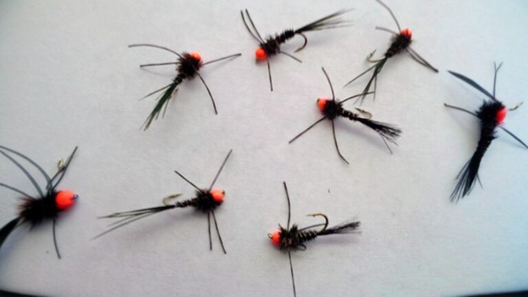 Orange bead head nymphs with legs