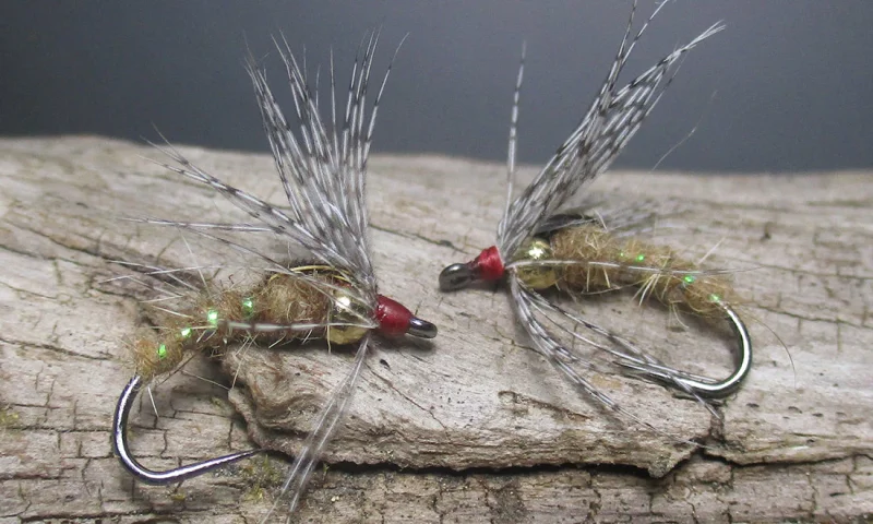 Holy Grail Caddis Pupa