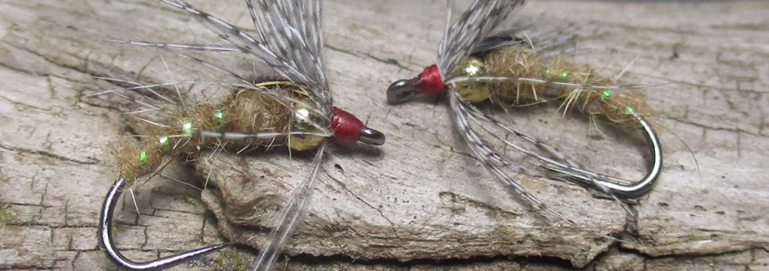 Holy Grail Caddis Pupa