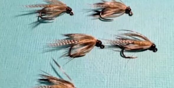 Wood Duck Soft Hackle