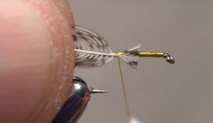 Using Large Feathers on Small Soft Hackles