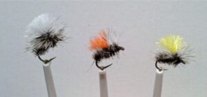 Dirty rats in sizes 12, 14, and 16