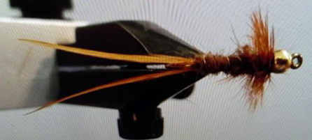 Top view of fly, note the tail hackles pointing away from each other.