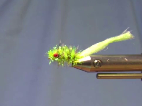 Wrap the tail over the hook and trim a finger length past the eye.