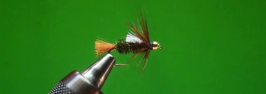 Beatty’s EZY Prince Nymph Mutant Variant