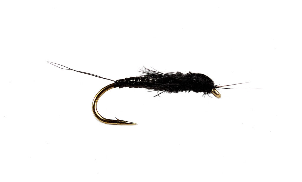 Edwards Black Stonefly