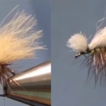 Fed's EZ CDC Caddis variants