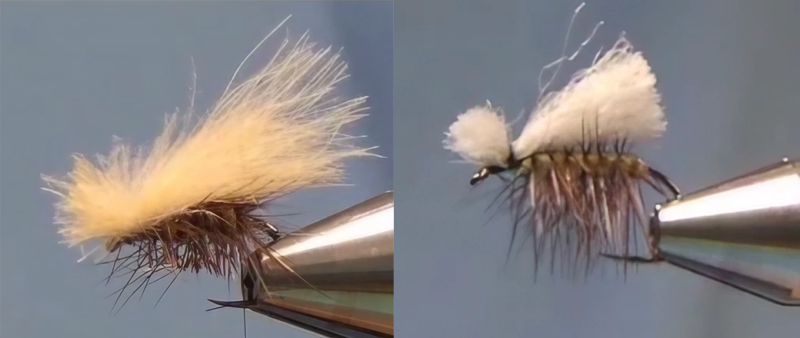 Fed’s EZ CDC Caddis