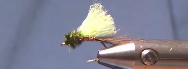 Fed’s Brassie Emerger Variant