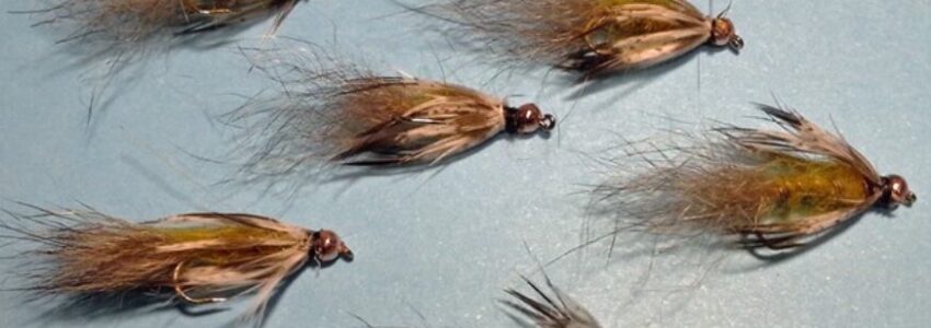 Fed’s Bead Head Soft Hackle Possum Nymph