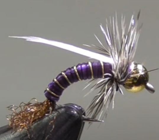 The beautiful original fly with purple stretchy floss.