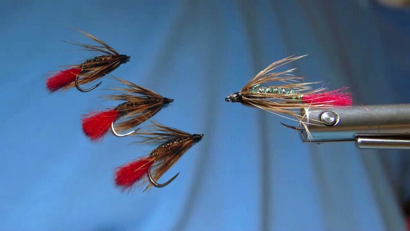 Red Tag Soft Hackle Bass Fly