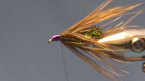 7. Make four or five wraps of the hackle, tying it off behind the eye.
8. Fold the feathers back and wrap back to form a head.