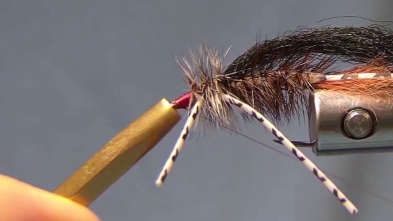 Wrap the hackle over and between the legs and back to the eyes.
Tie off - whip finish or half hitch.