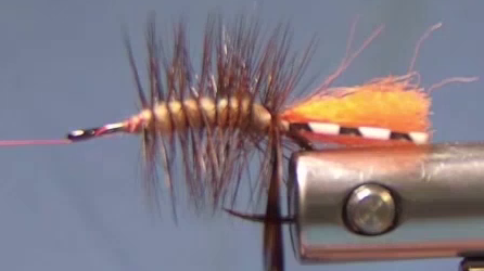 Tie in a brown hackle feather at the tie-in point.
Palmer the body.