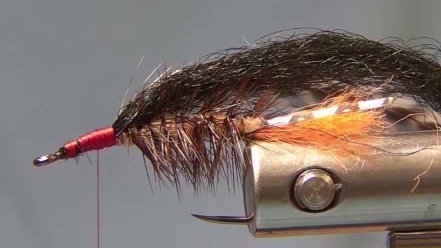 Tie in the poly yarn wing - a little longer than the body.
Tie in the larger grizzly hackle