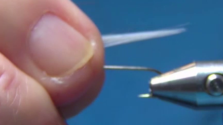 Start the thread at the two-thirds mark and cover the hook.
Cut a bunch of fibres from the shaving brush, extract all the dark fibres.