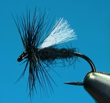 Poly Winged Midge