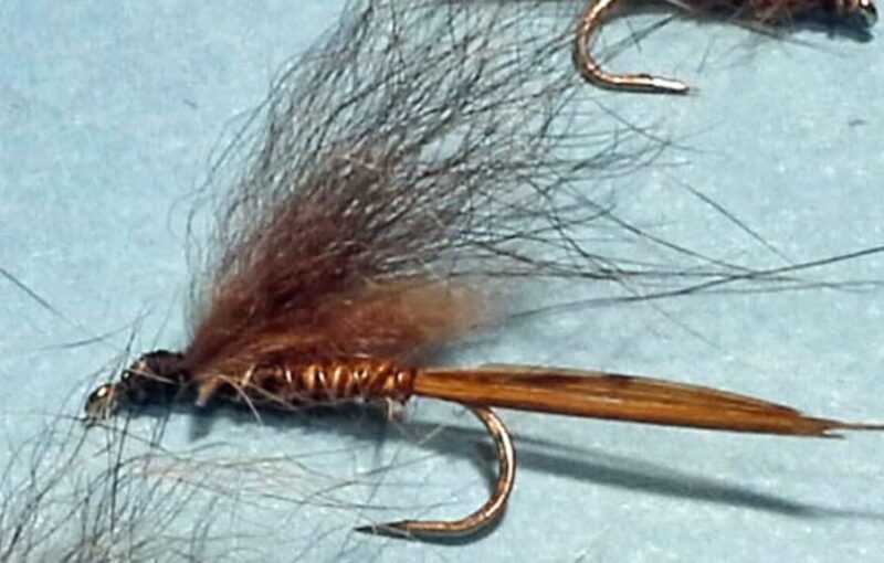 Fed’s Pheasant Tail Possum Emerger Variant